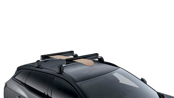 Vozilo Renault Austral full hybrid E-Tech s nosačem za skije i snowboard na krovu.

